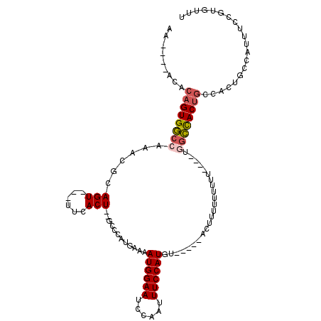 secondary structure