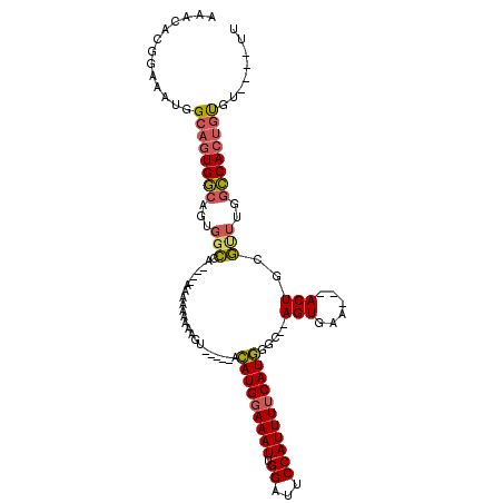 secondary structure