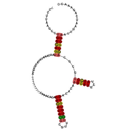 secondary structure
