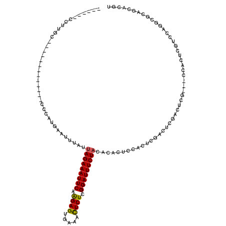secondary structure