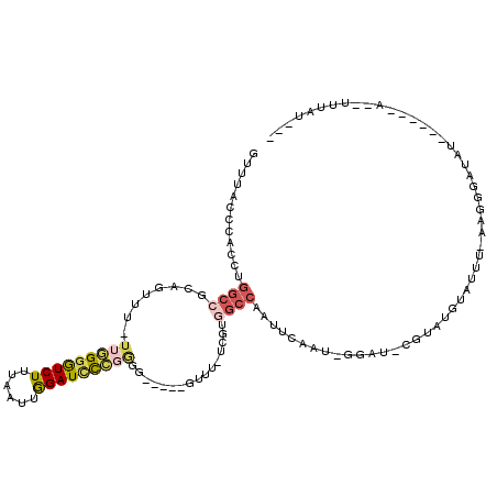 secondary structure