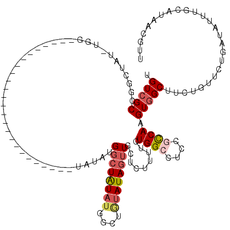secondary structure