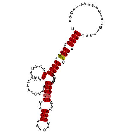 secondary structure