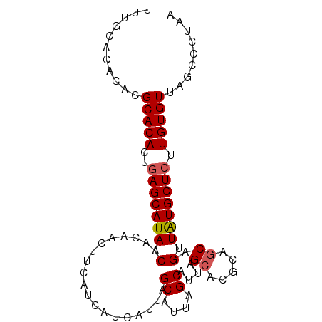 secondary structure
