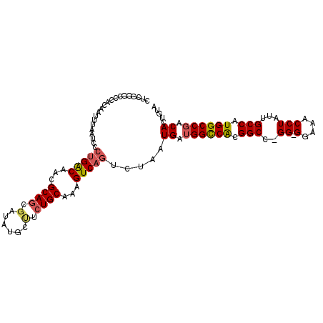 secondary structure