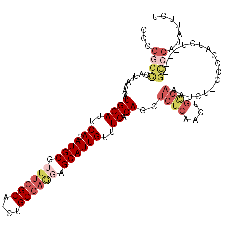 secondary structure