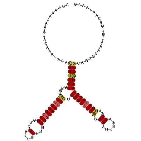 secondary structure
