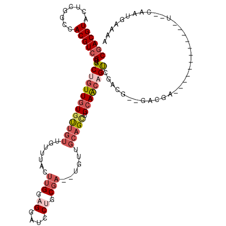 secondary structure