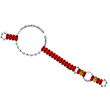 secondary structure