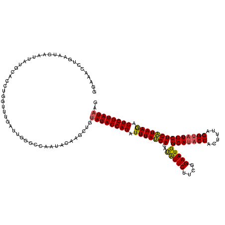 secondary structure