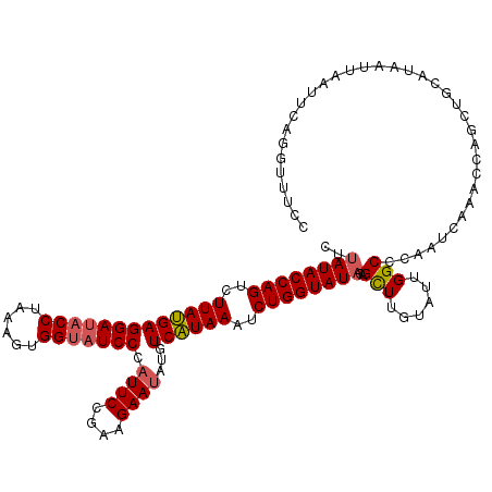secondary structure