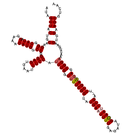 secondary structure