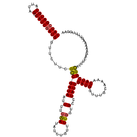 secondary structure