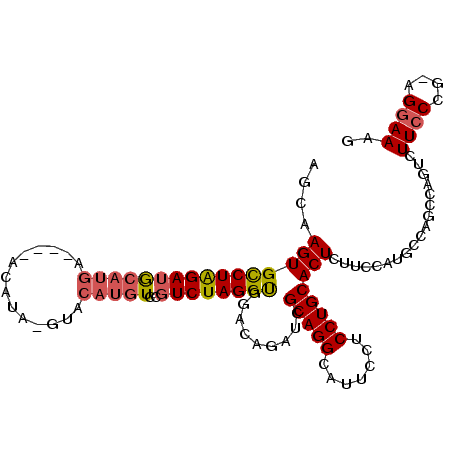 secondary structure