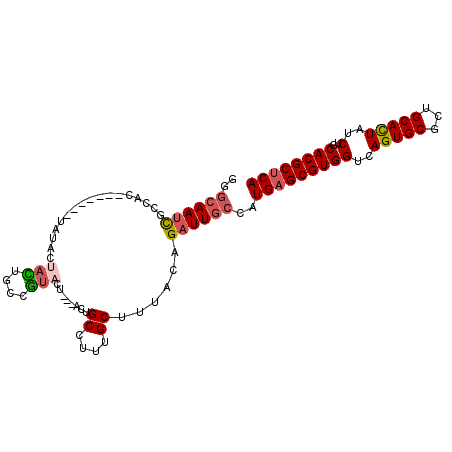secondary structure