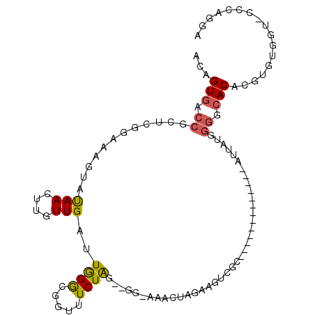 secondary structure