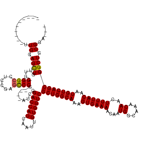 secondary structure