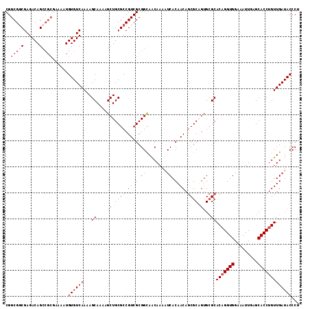 dotplot
