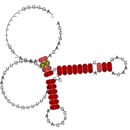 secondary structure