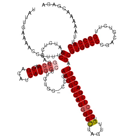 secondary structure