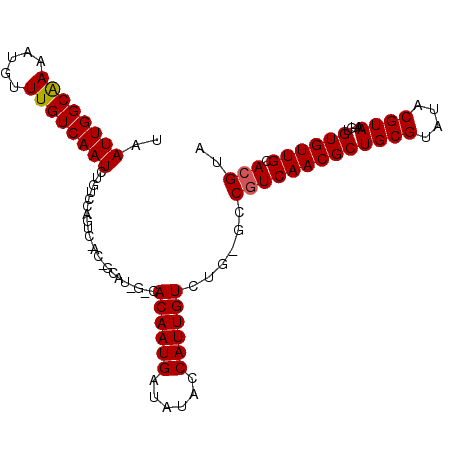 secondary structure