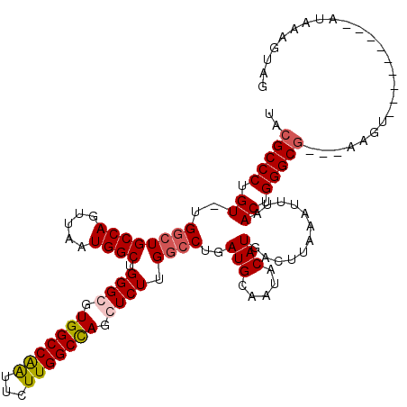 secondary structure