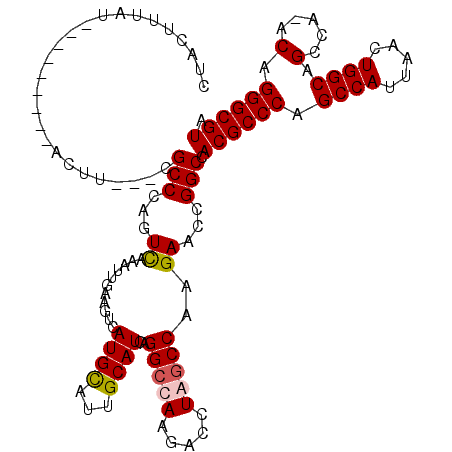 secondary structure