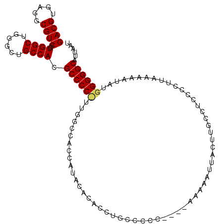 secondary structure