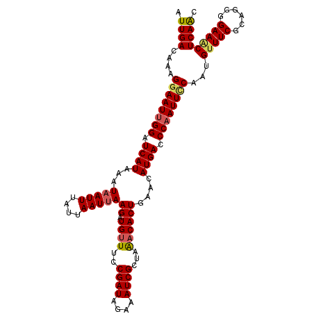 secondary structure