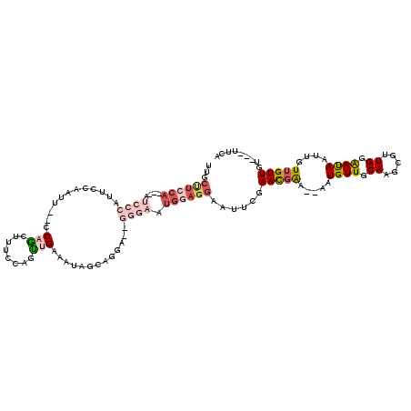 secondary structure
