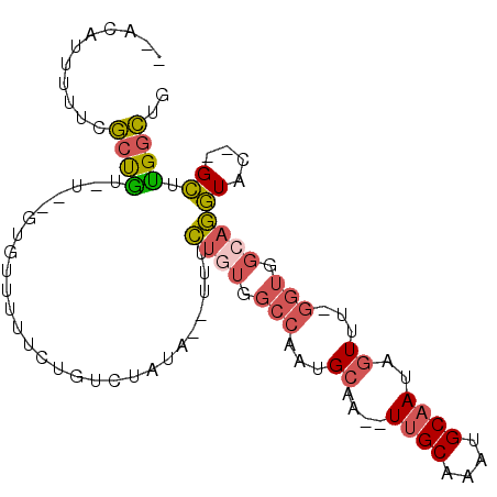 secondary structure