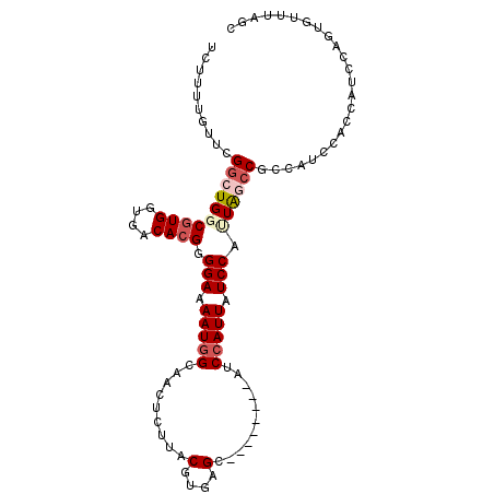secondary structure
