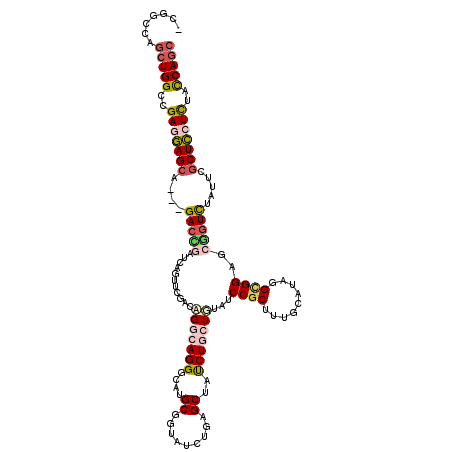 secondary structure