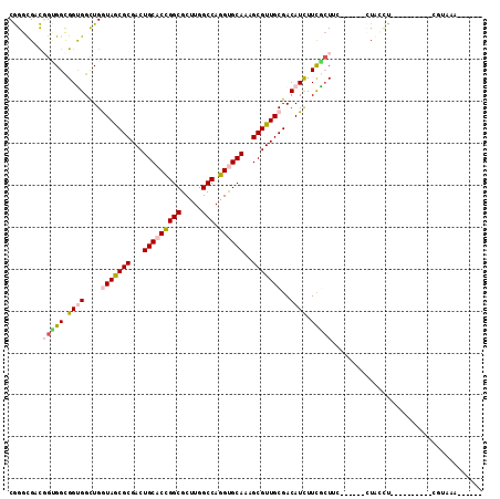 dotplot