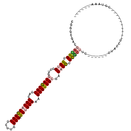 secondary structure