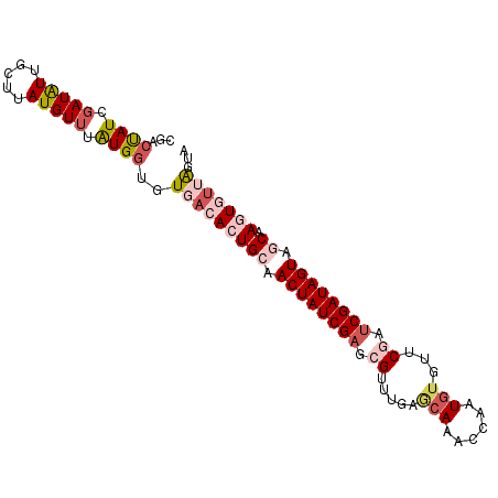 secondary structure