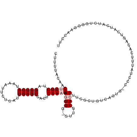 secondary structure