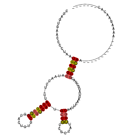 secondary structure
