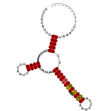 secondary structure