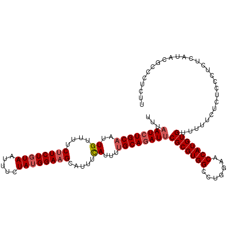 secondary structure