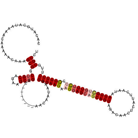 secondary structure