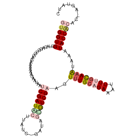 secondary structure
