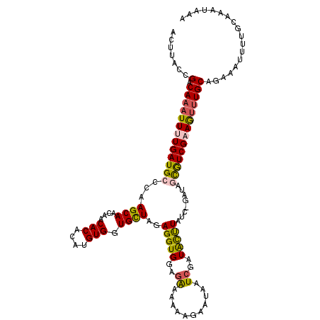 secondary structure