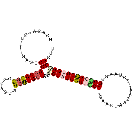 secondary structure