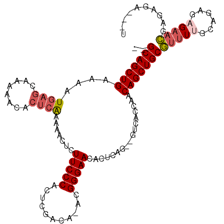secondary structure