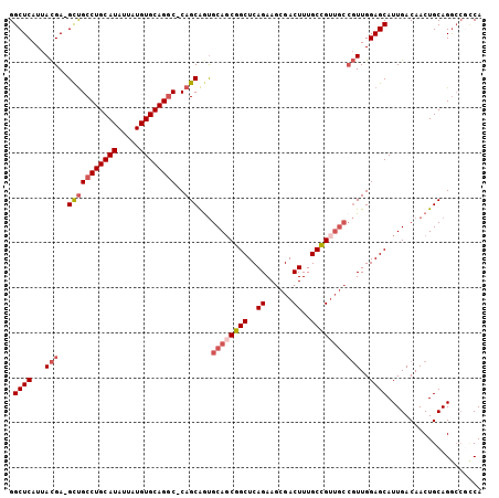 dotplot