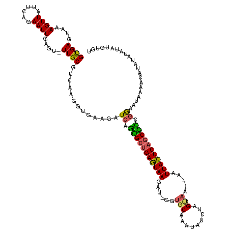 secondary structure