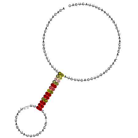 secondary structure