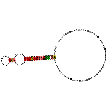 secondary structure