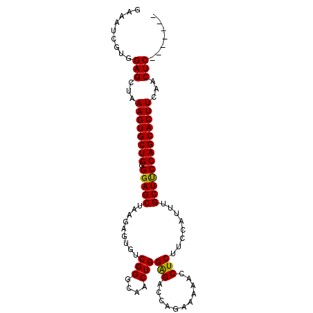 secondary structure